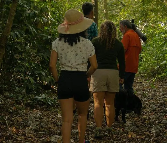 Agutipaca Acomodação com café da manhã  Bagaces