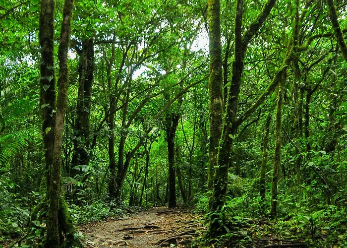 Agutipaca Acomodação com café da manhã 
